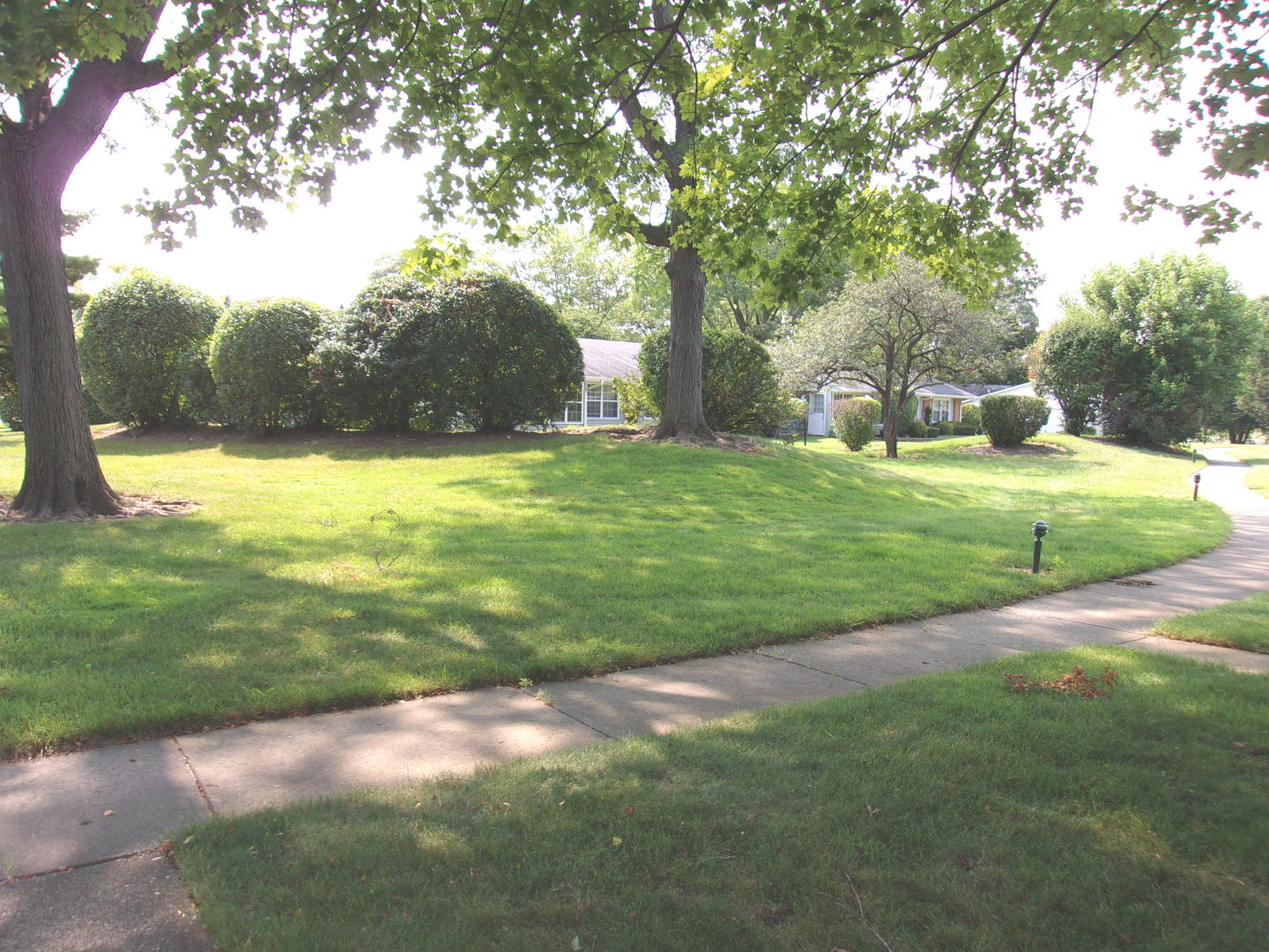 Gallery Image 16