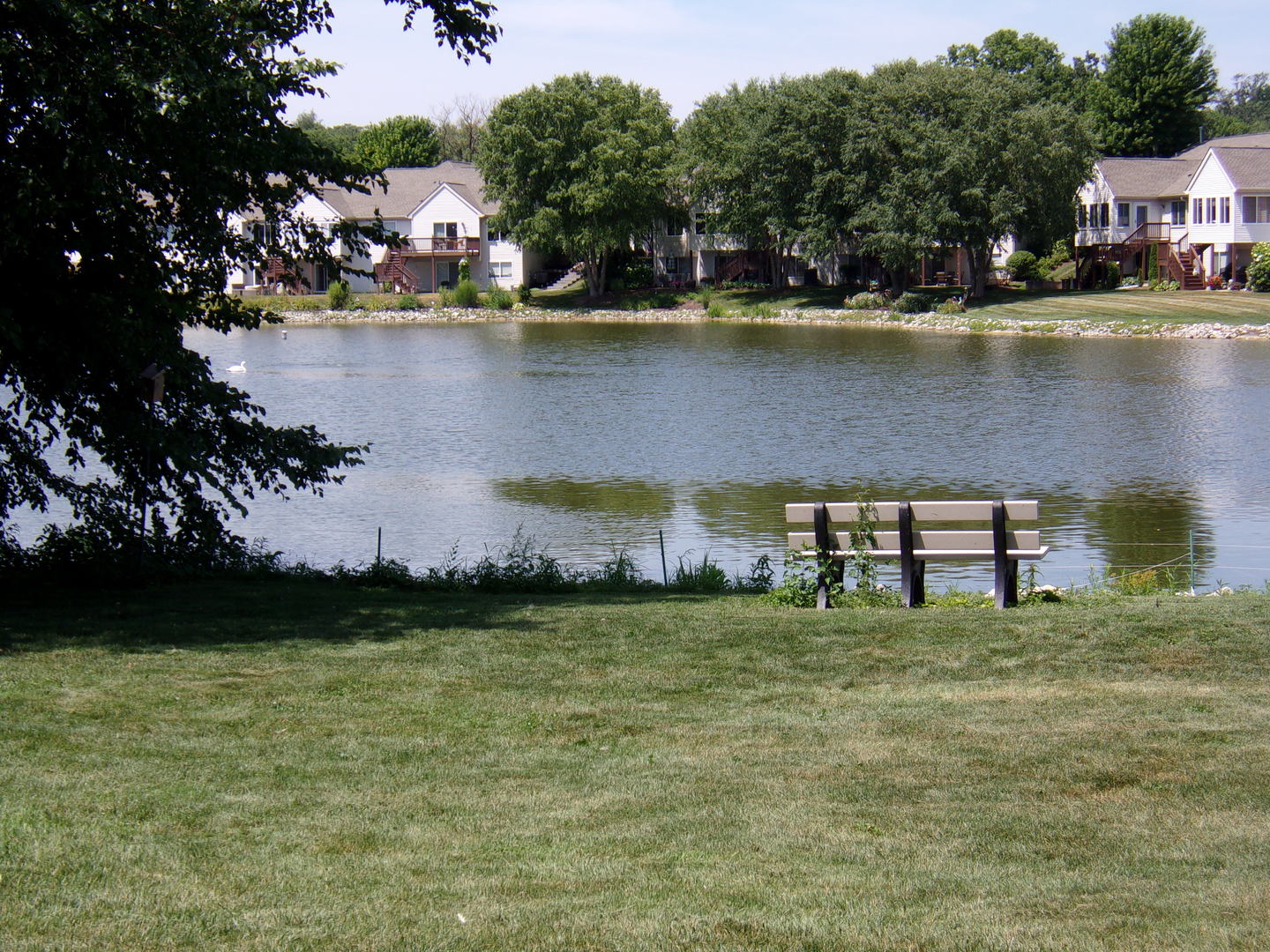 Gallery Image 19