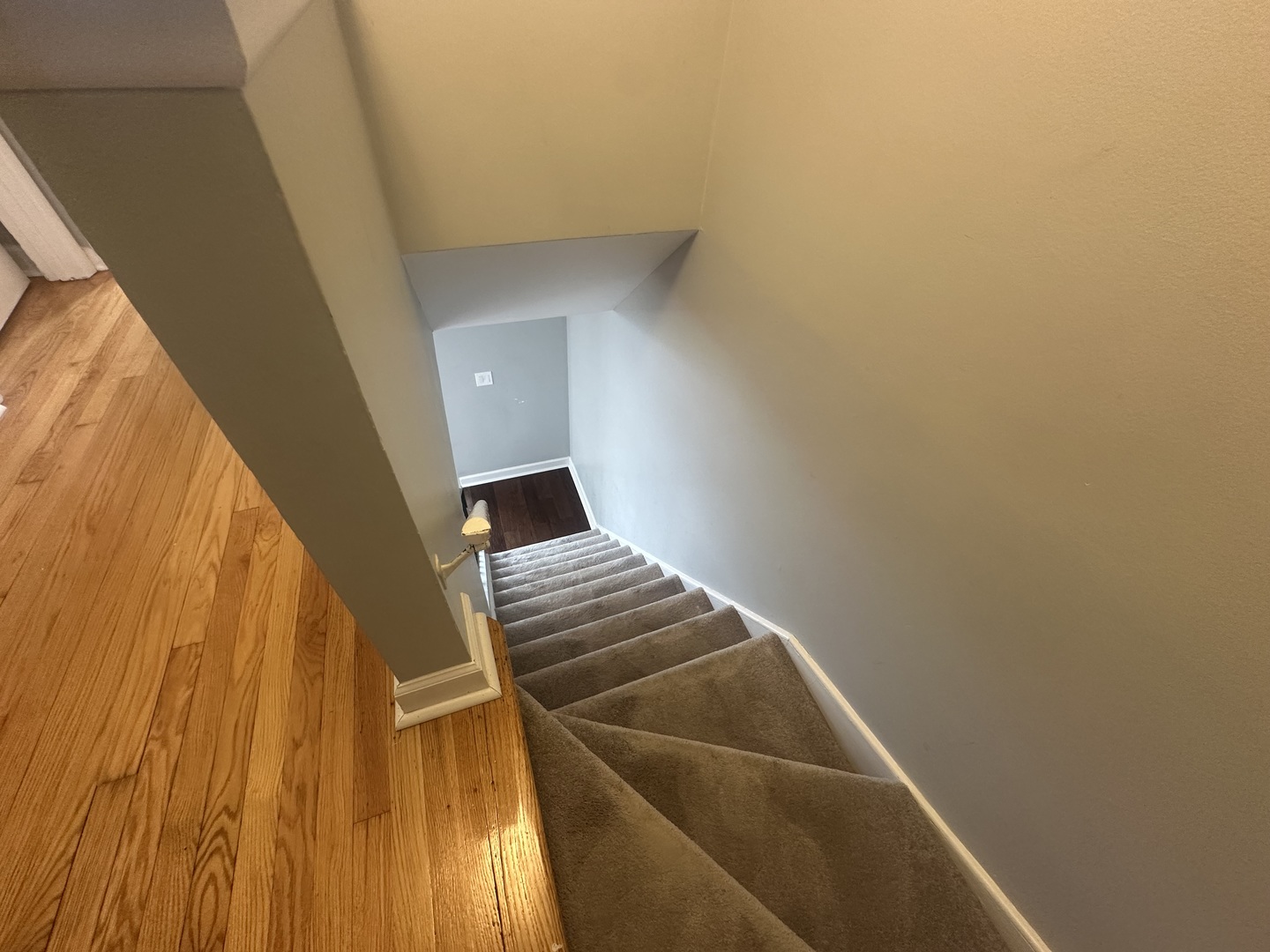 Gallery Image 14
