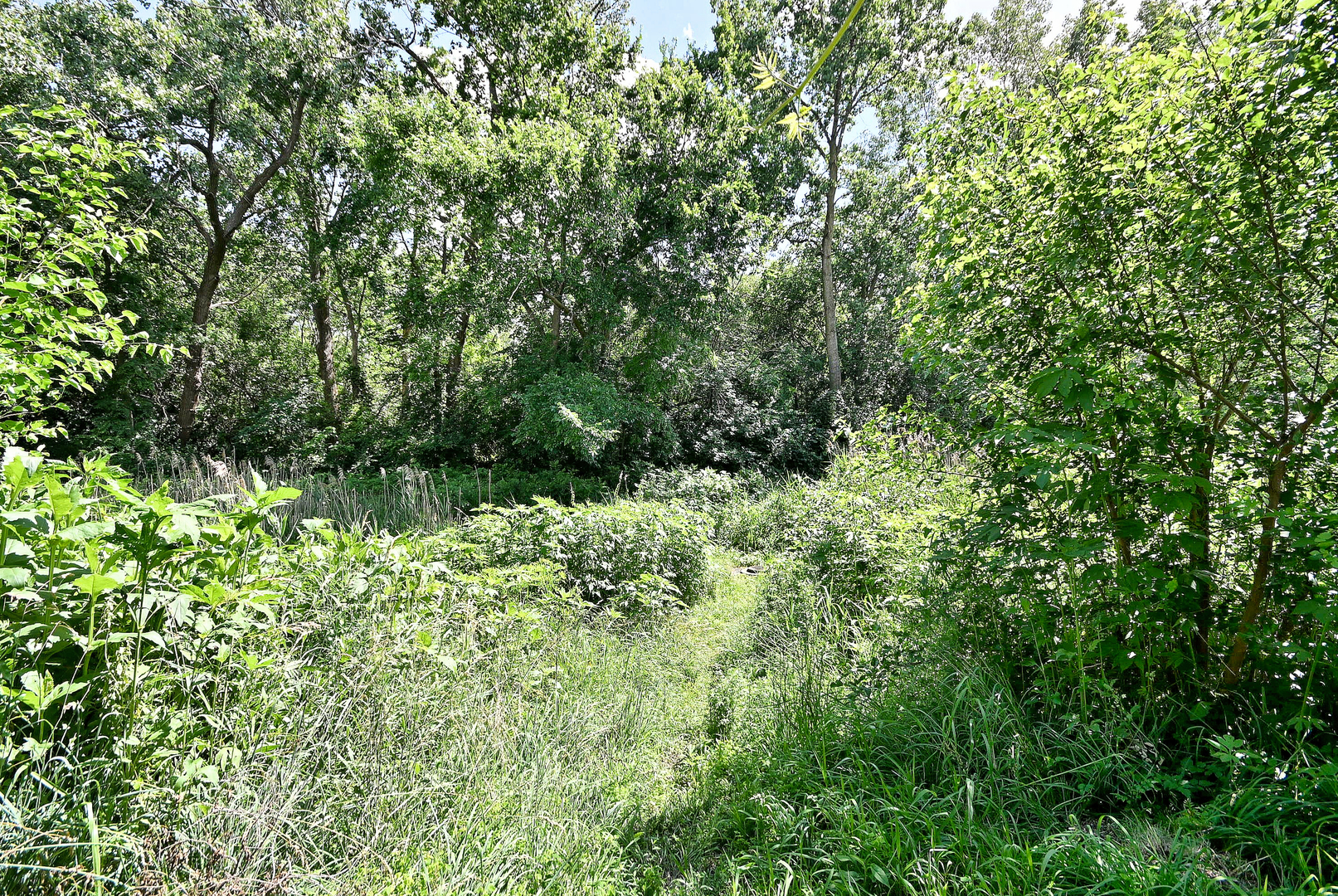 Gallery Image 56