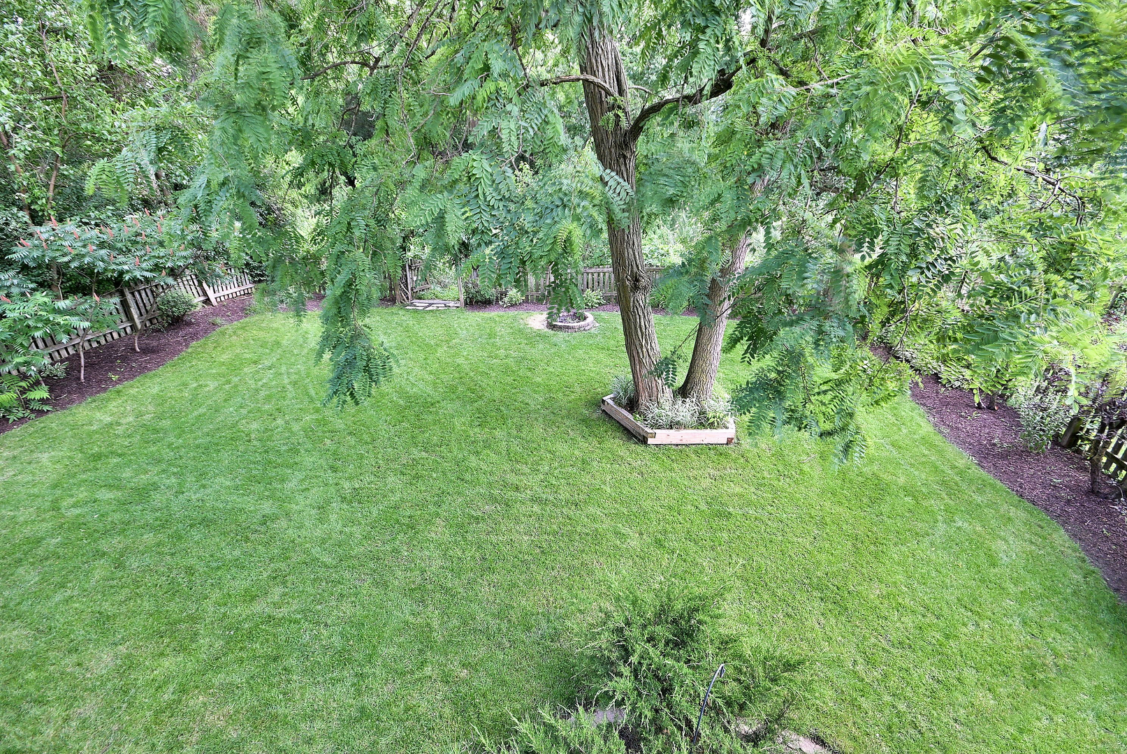Gallery Image 19