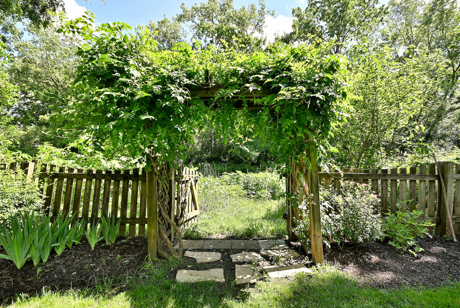 Gallery Image 55