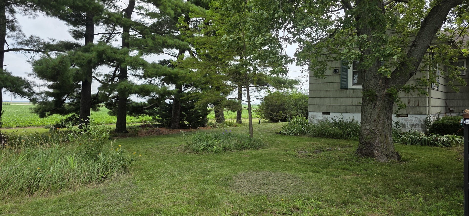 Gallery Image 27