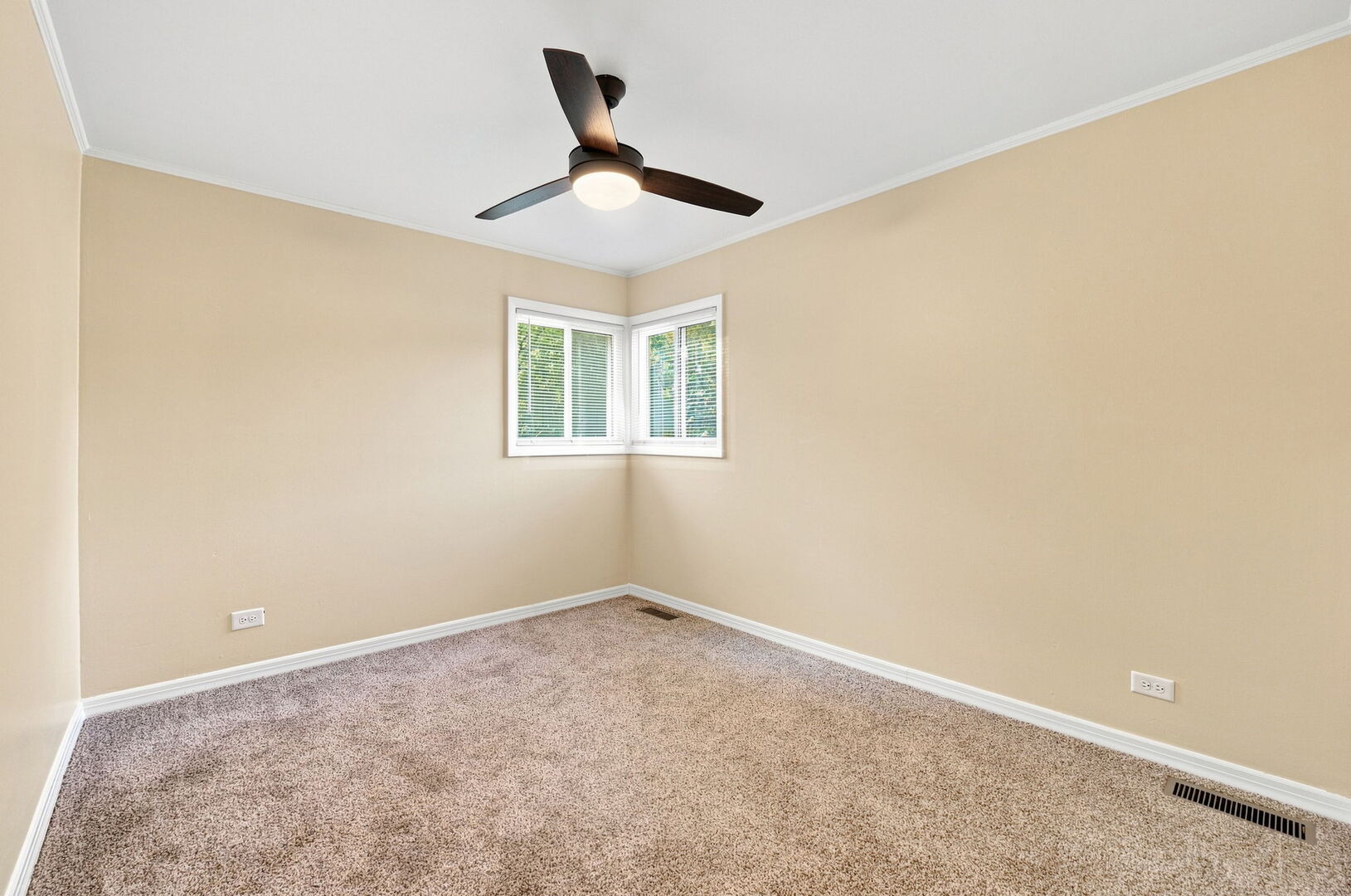 Gallery Image 19