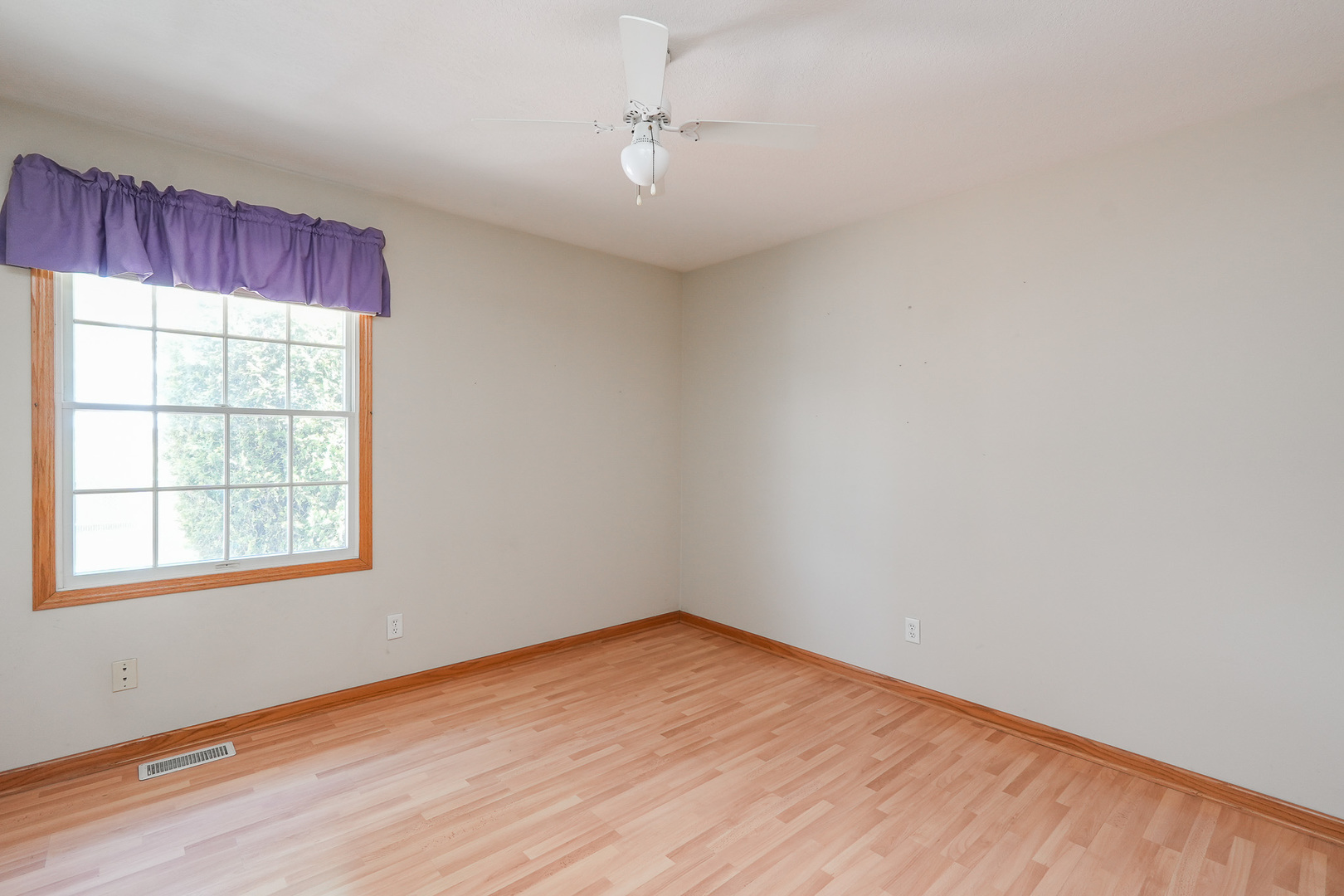 Gallery Image 19