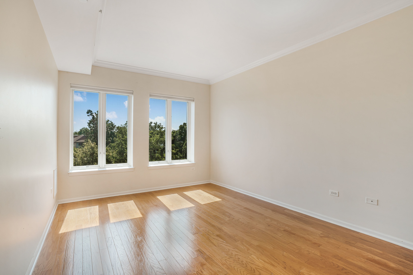 Gallery Image 19
