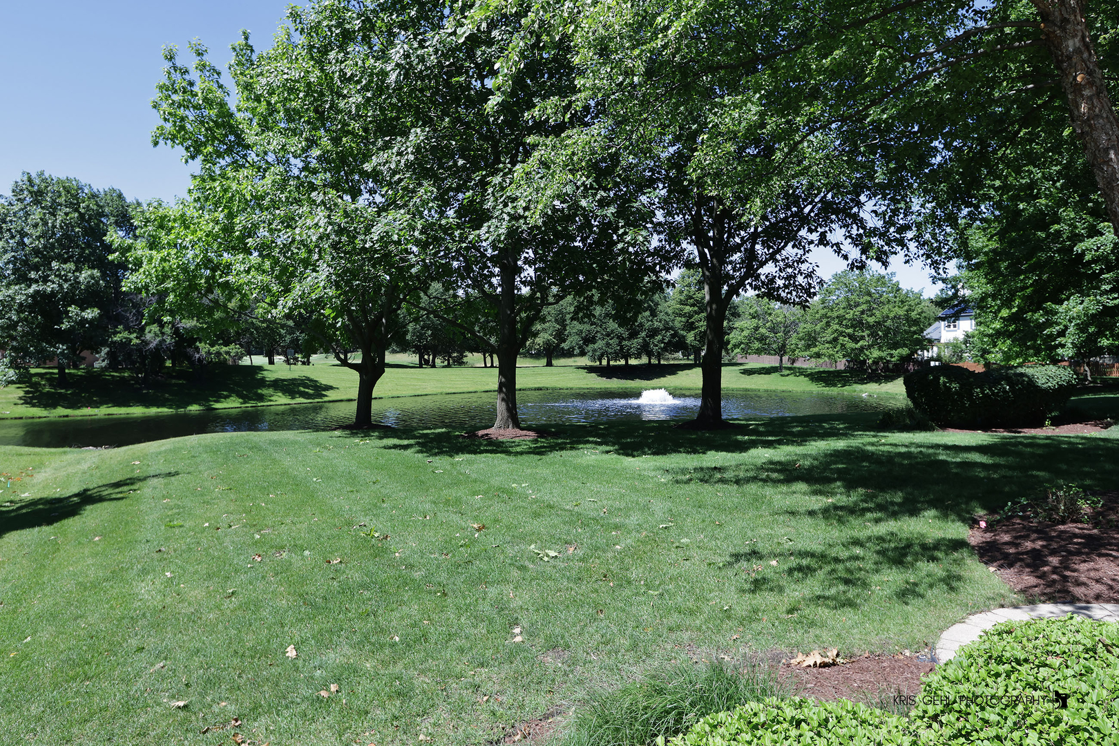 Gallery Image 54