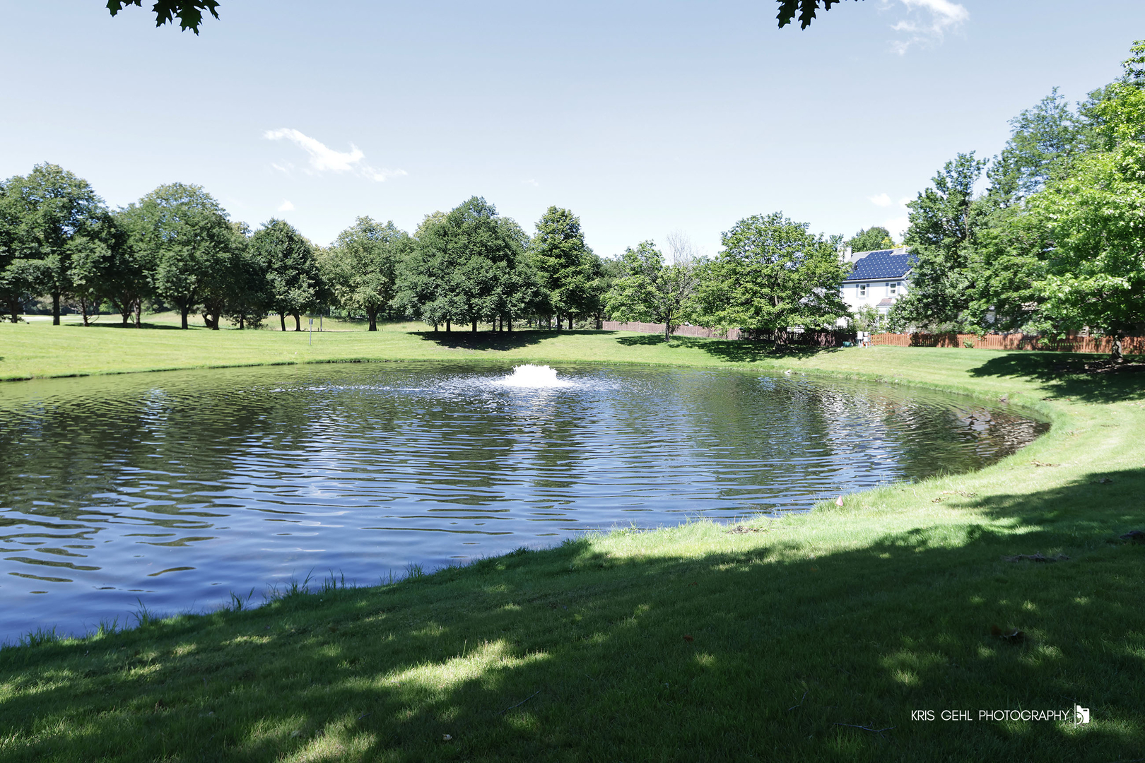 Gallery Image 55