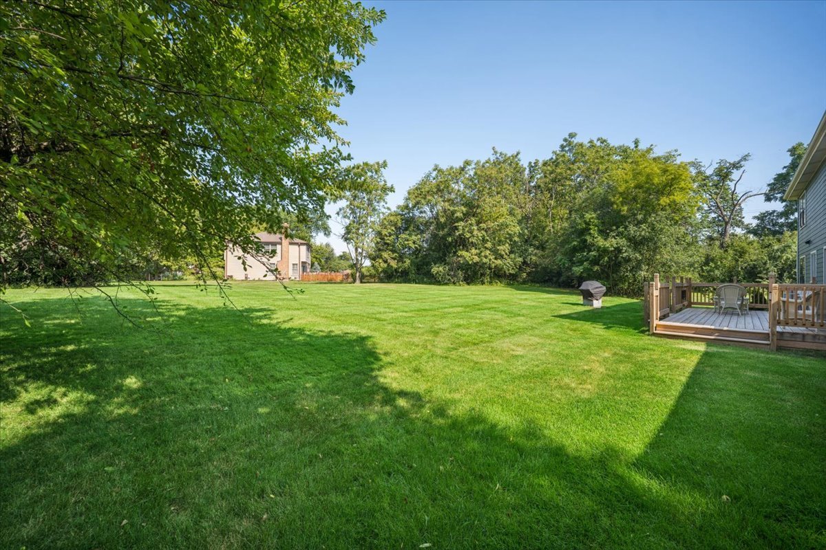Gallery Image 28