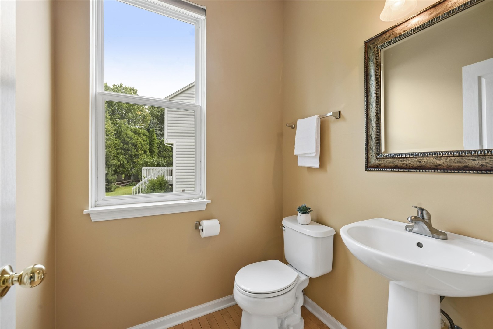 Gallery Image 13