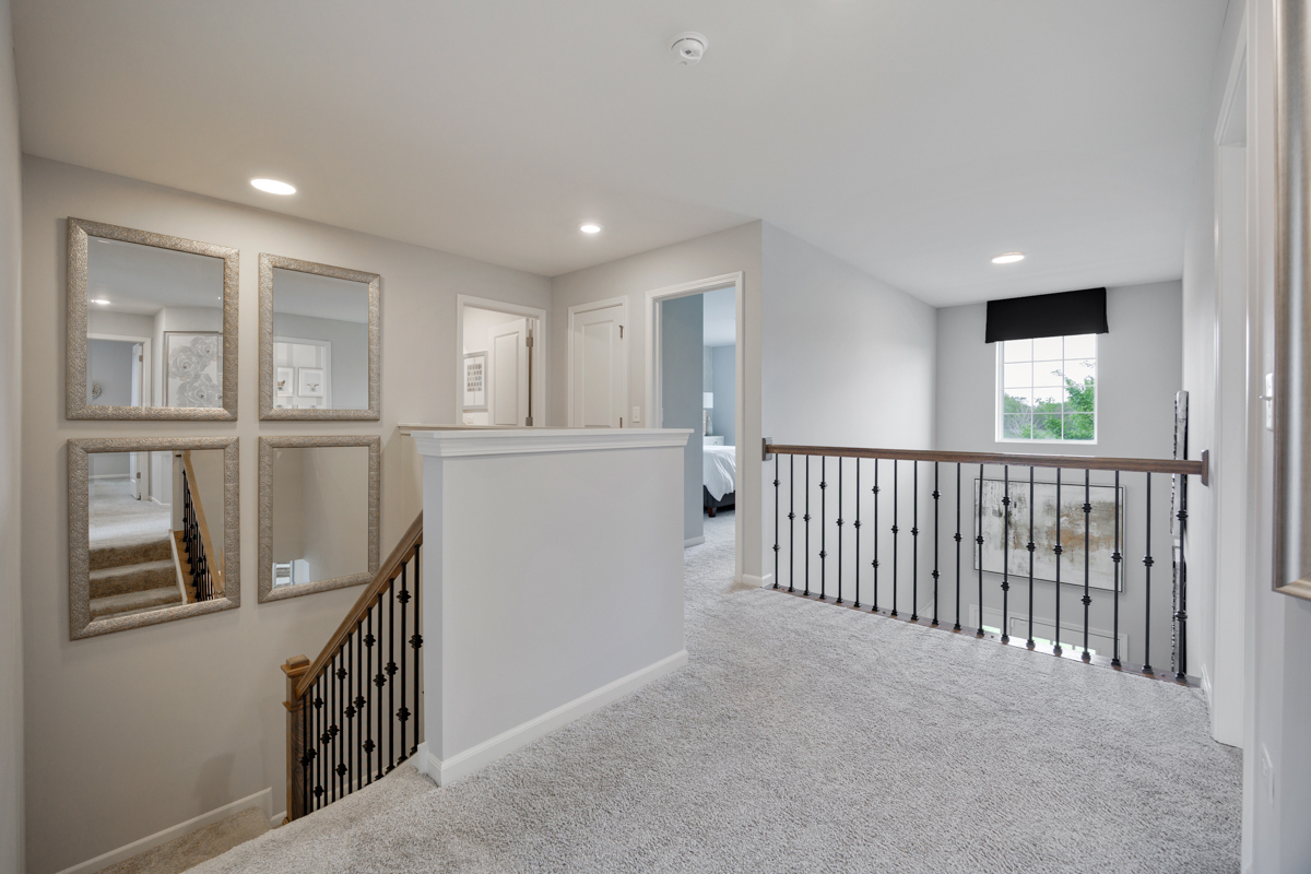 Gallery Image 12