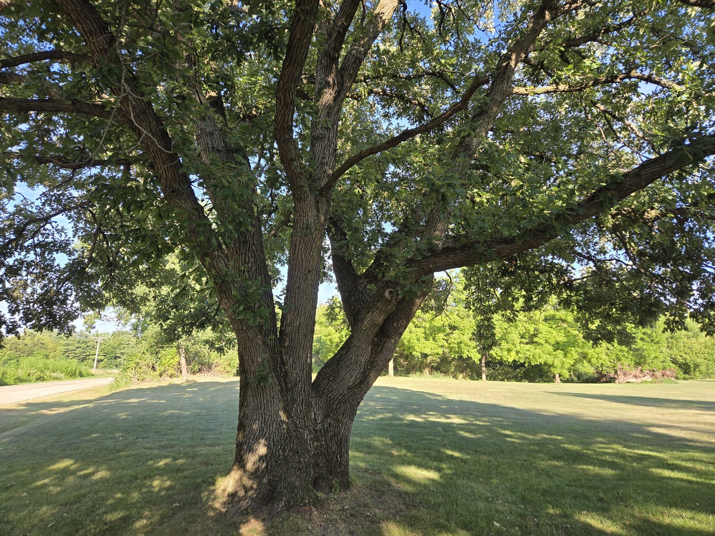 Gallery Image 25