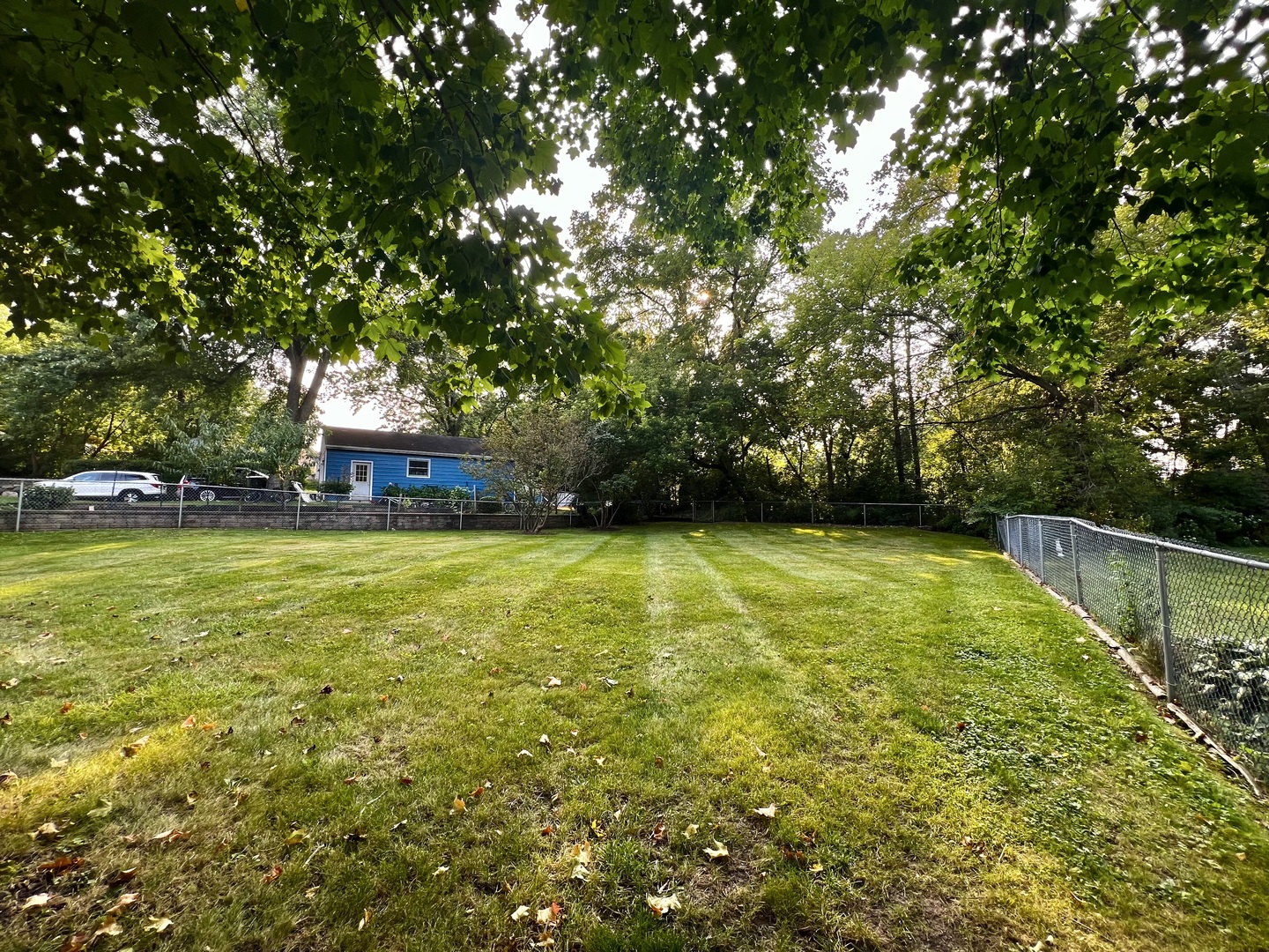 Gallery Image 11