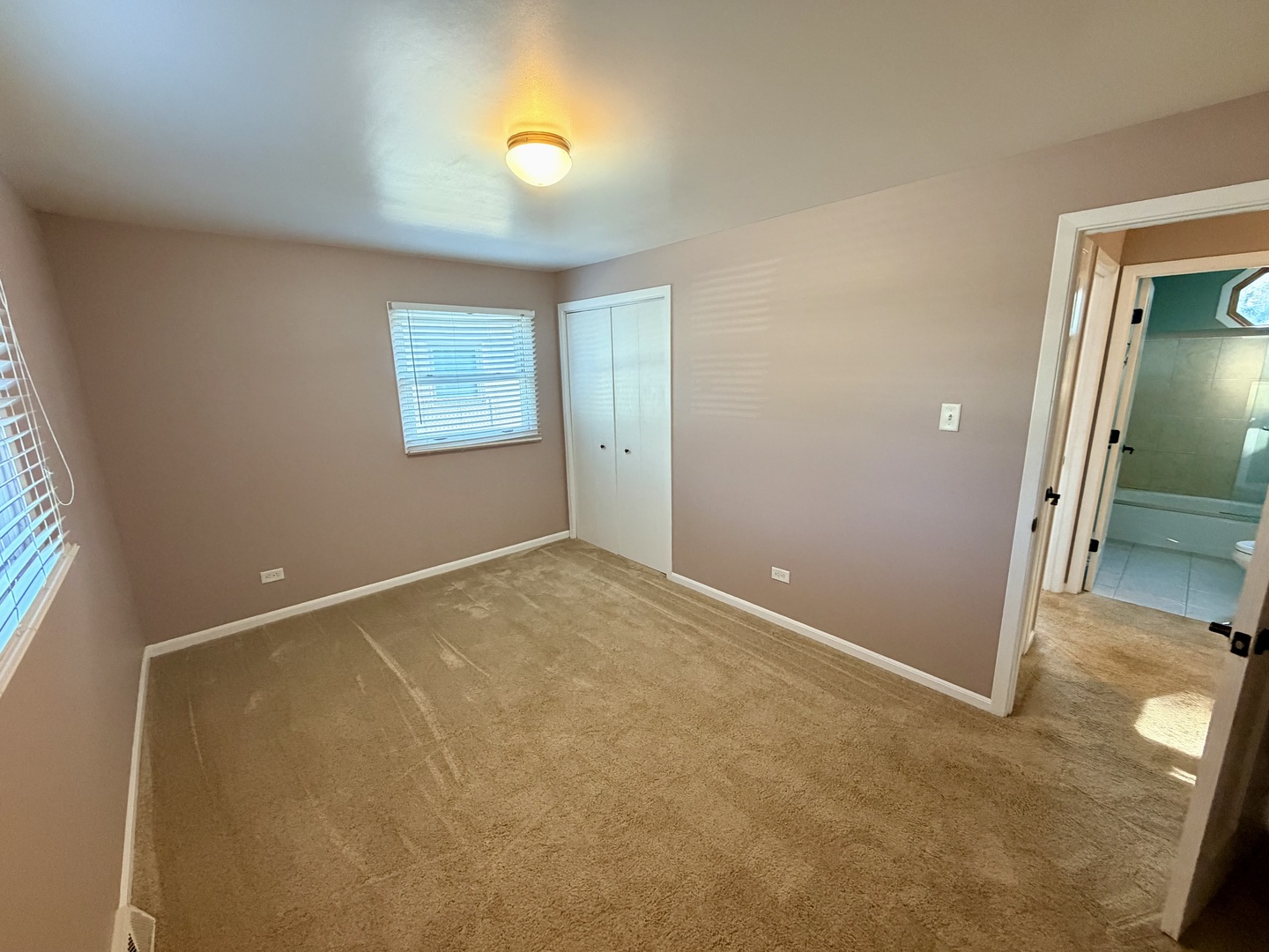 Gallery Image 19