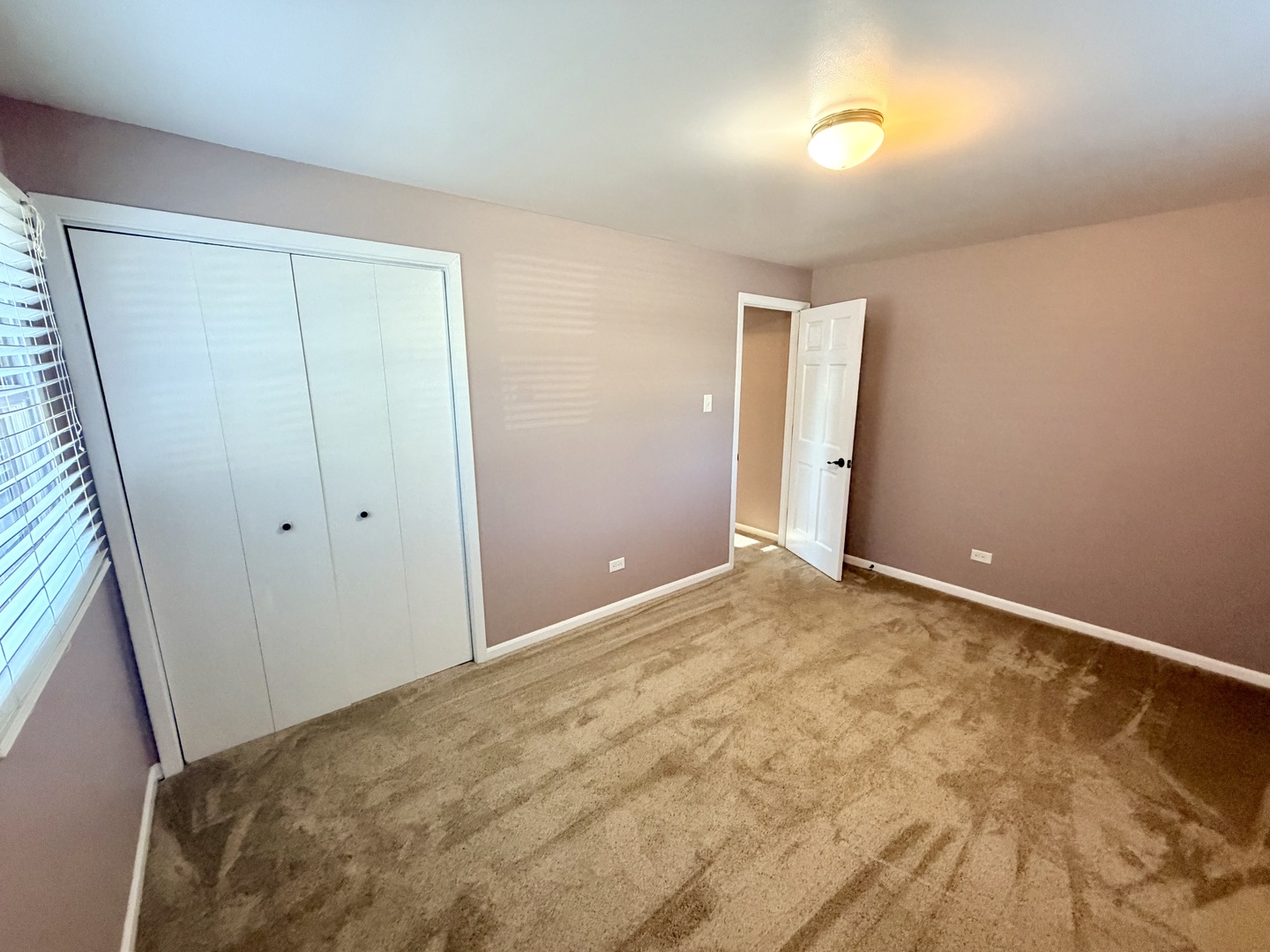 Gallery Image 20