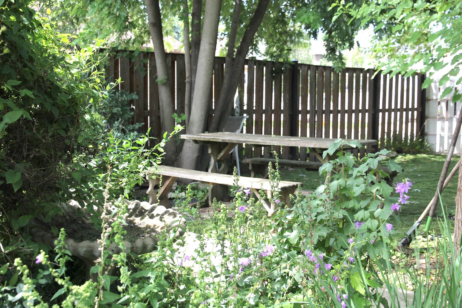 Gallery Image 27
