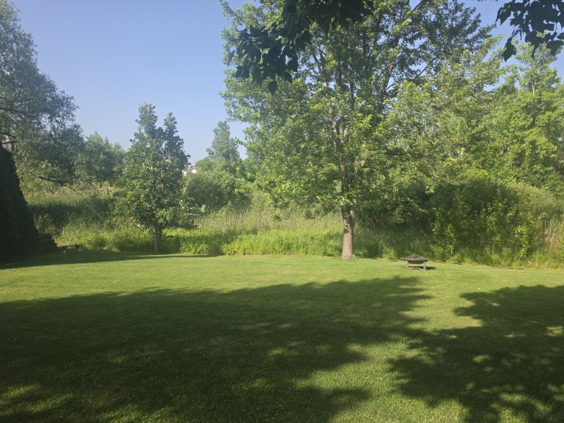 Gallery Image 21