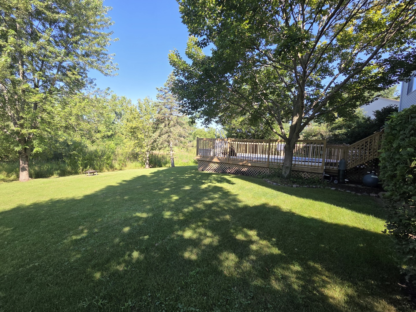 Gallery Image 25