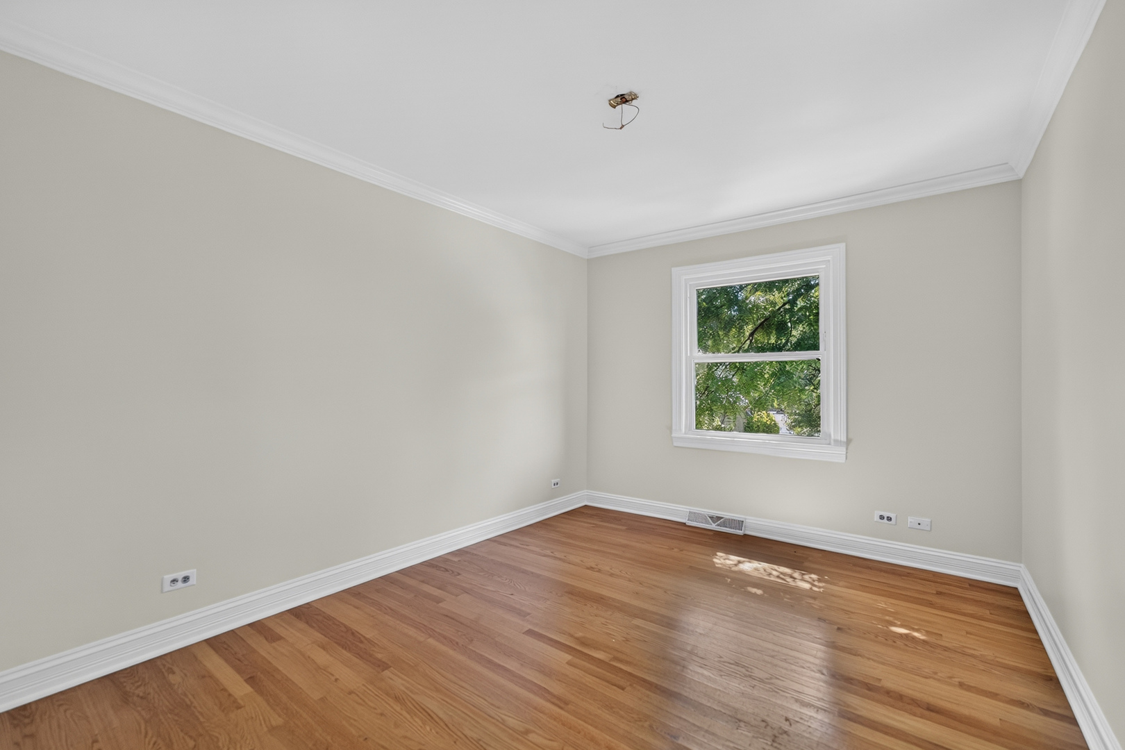 Gallery Image 36