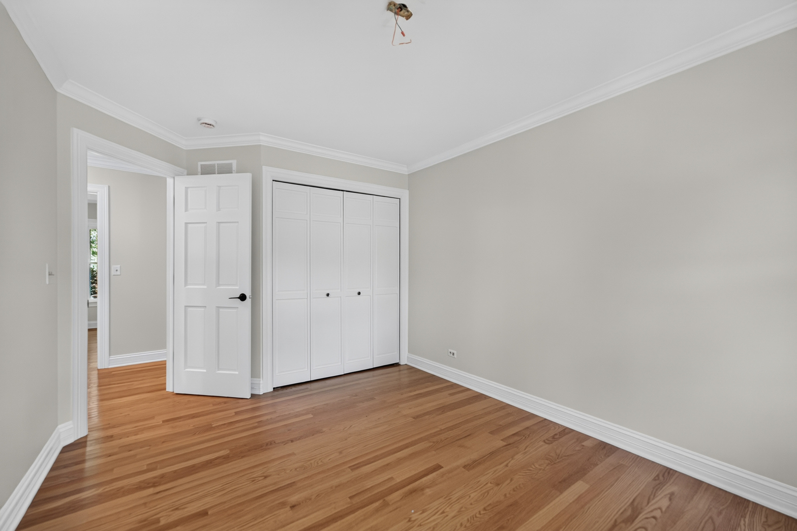 Gallery Image 37