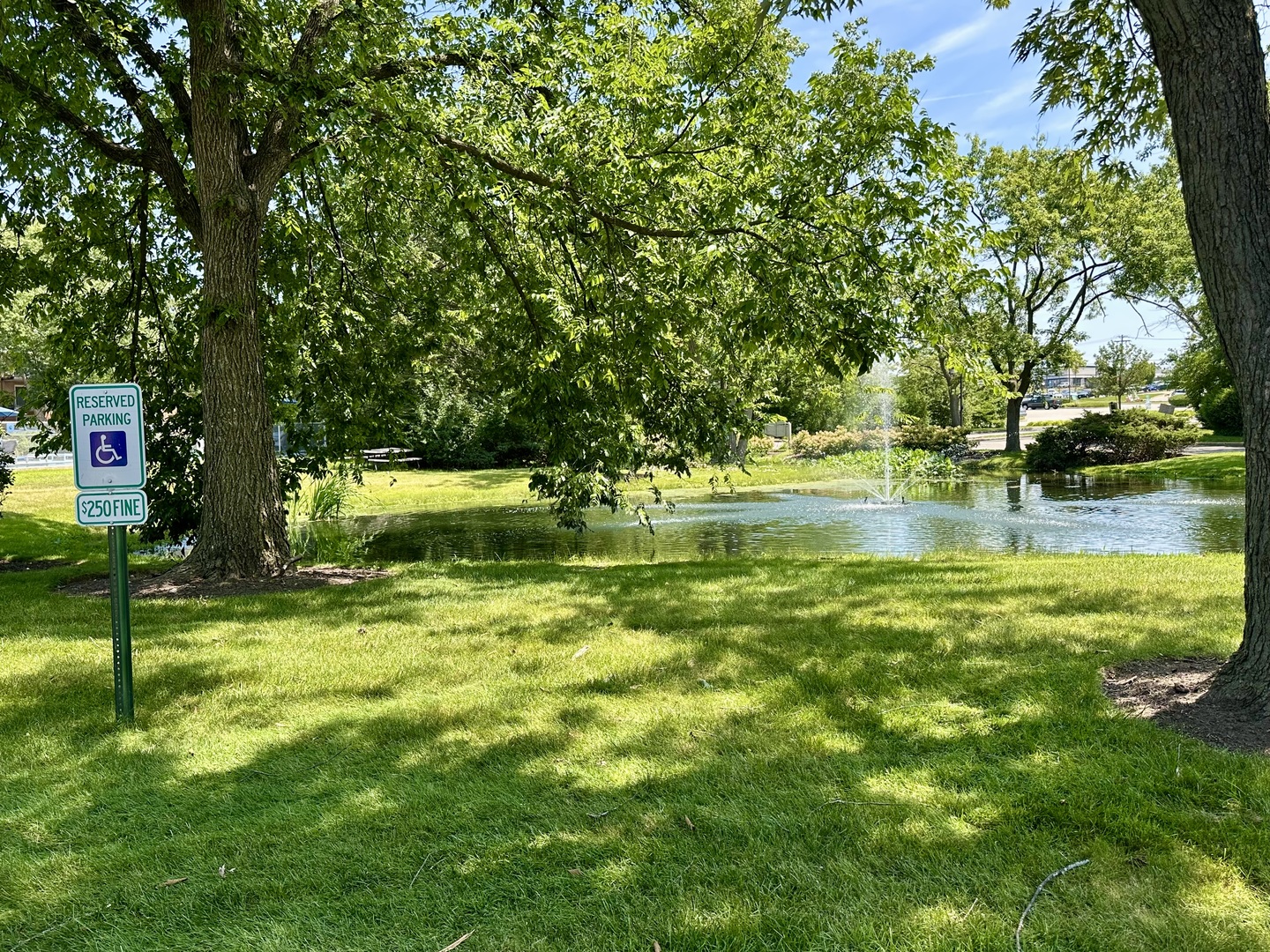 Gallery Image 23
