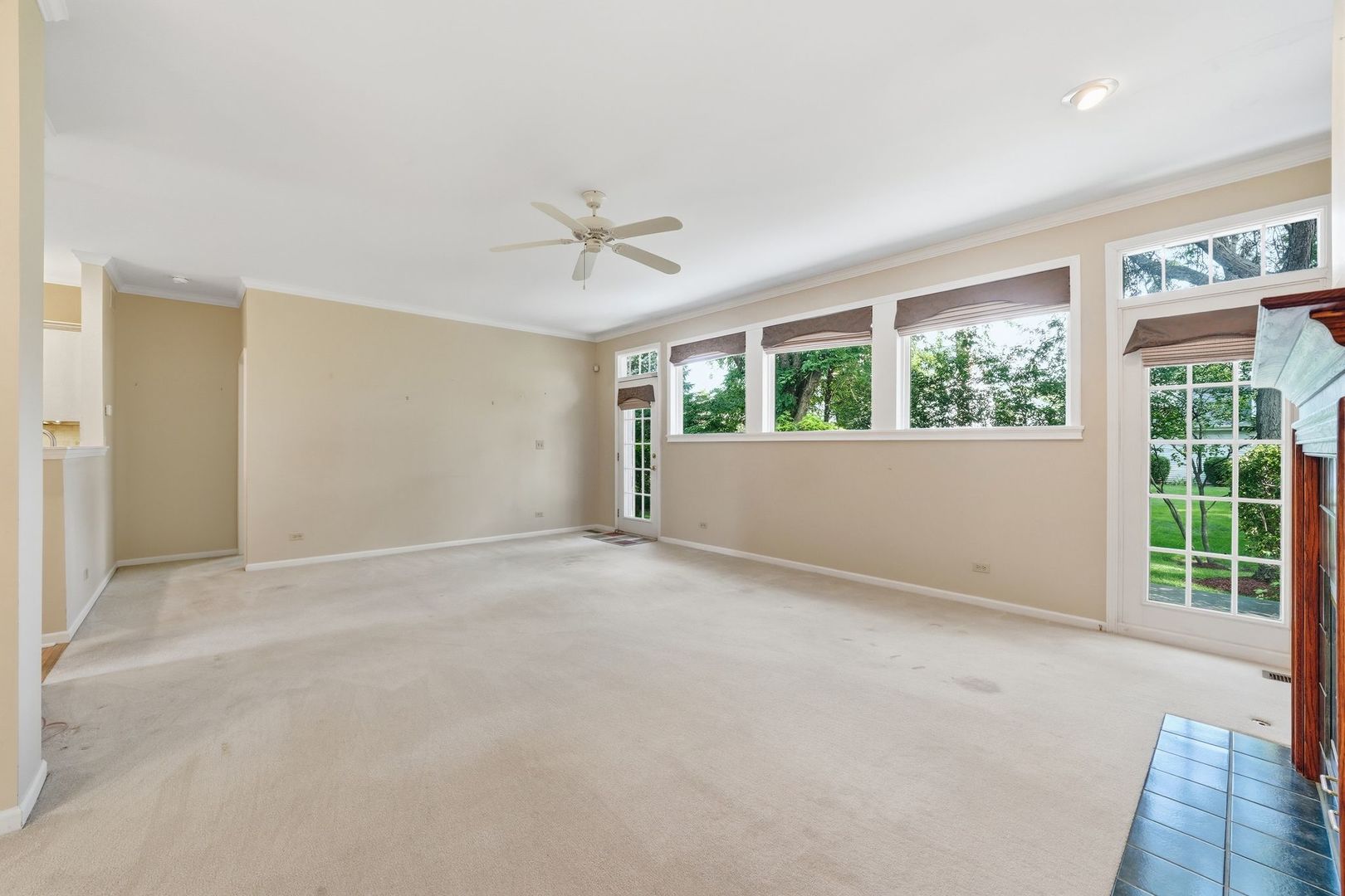 Gallery Image 11