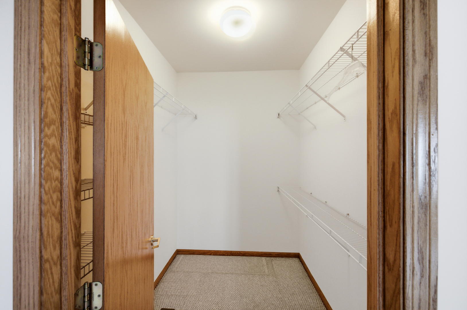 Gallery Image 19