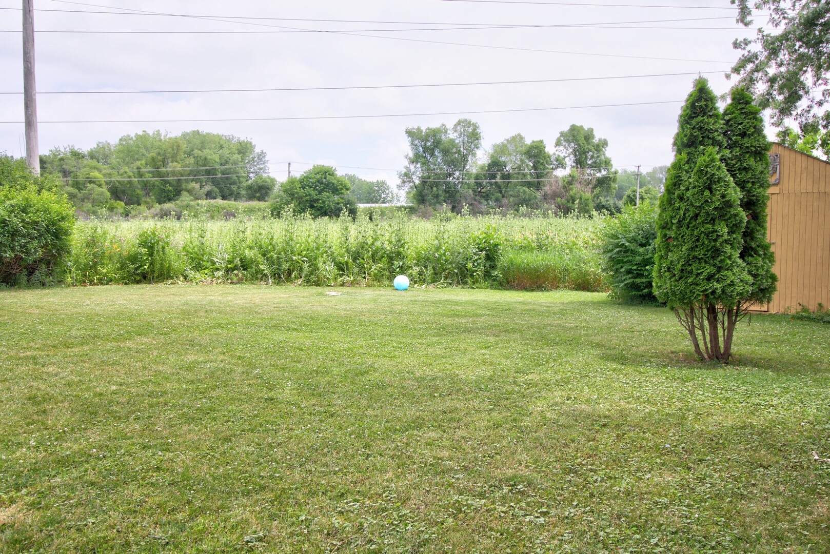 Gallery Image 13