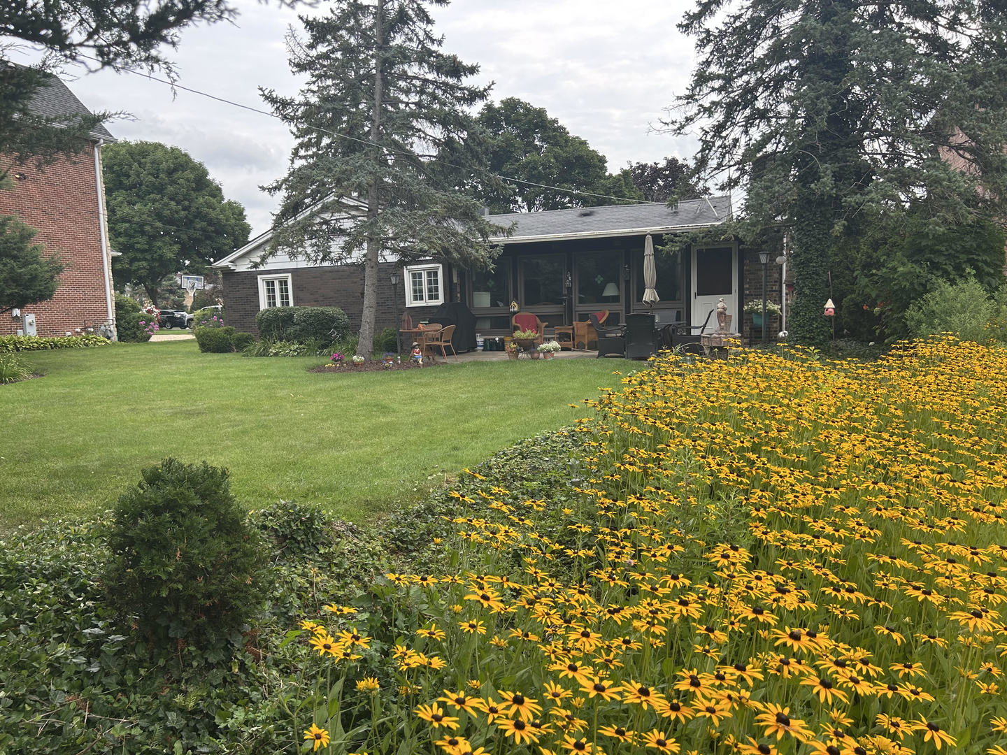 Gallery Image 14