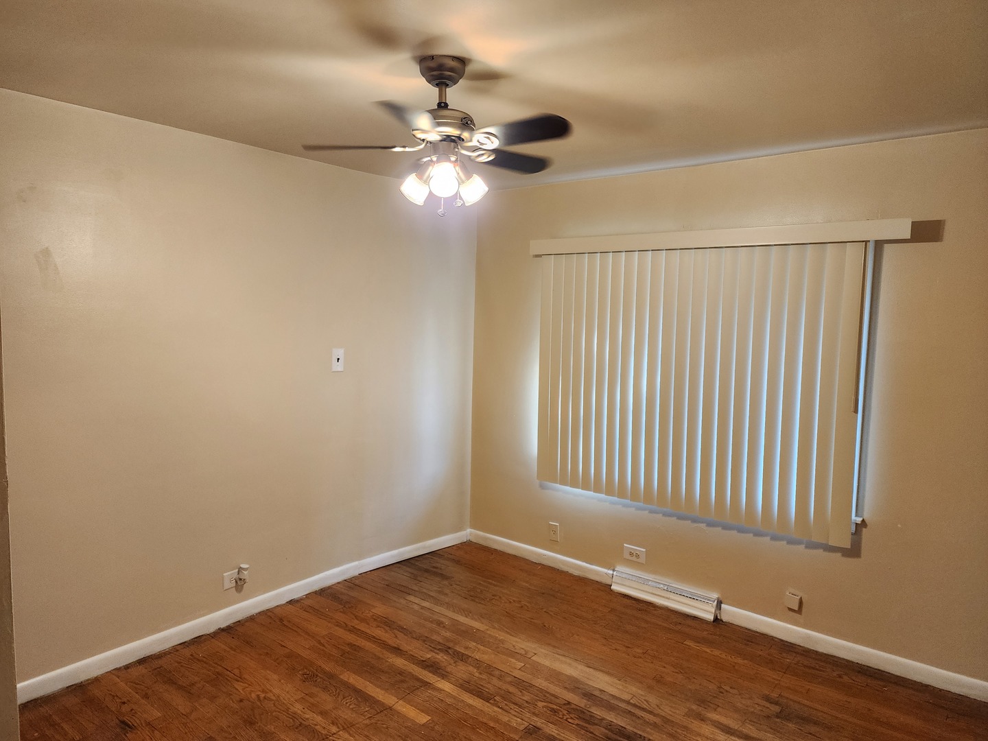 Gallery Image 7