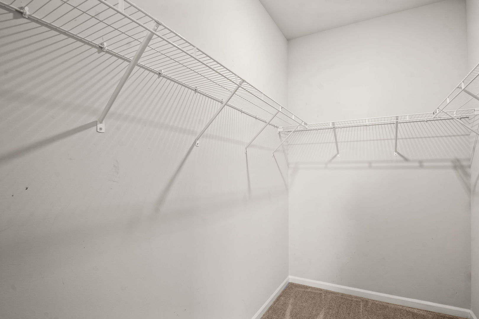 Gallery Image 19