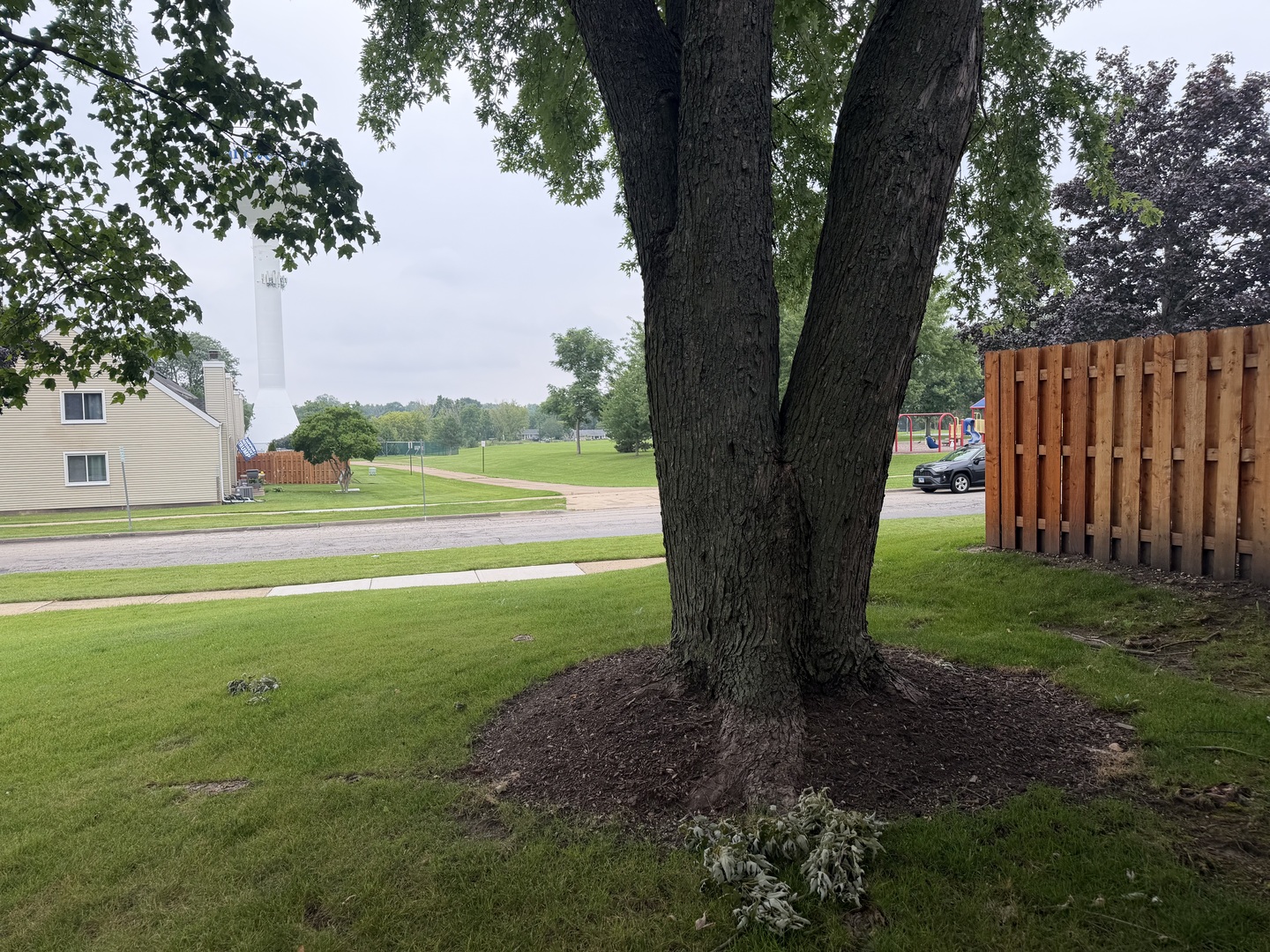 Gallery Image 14