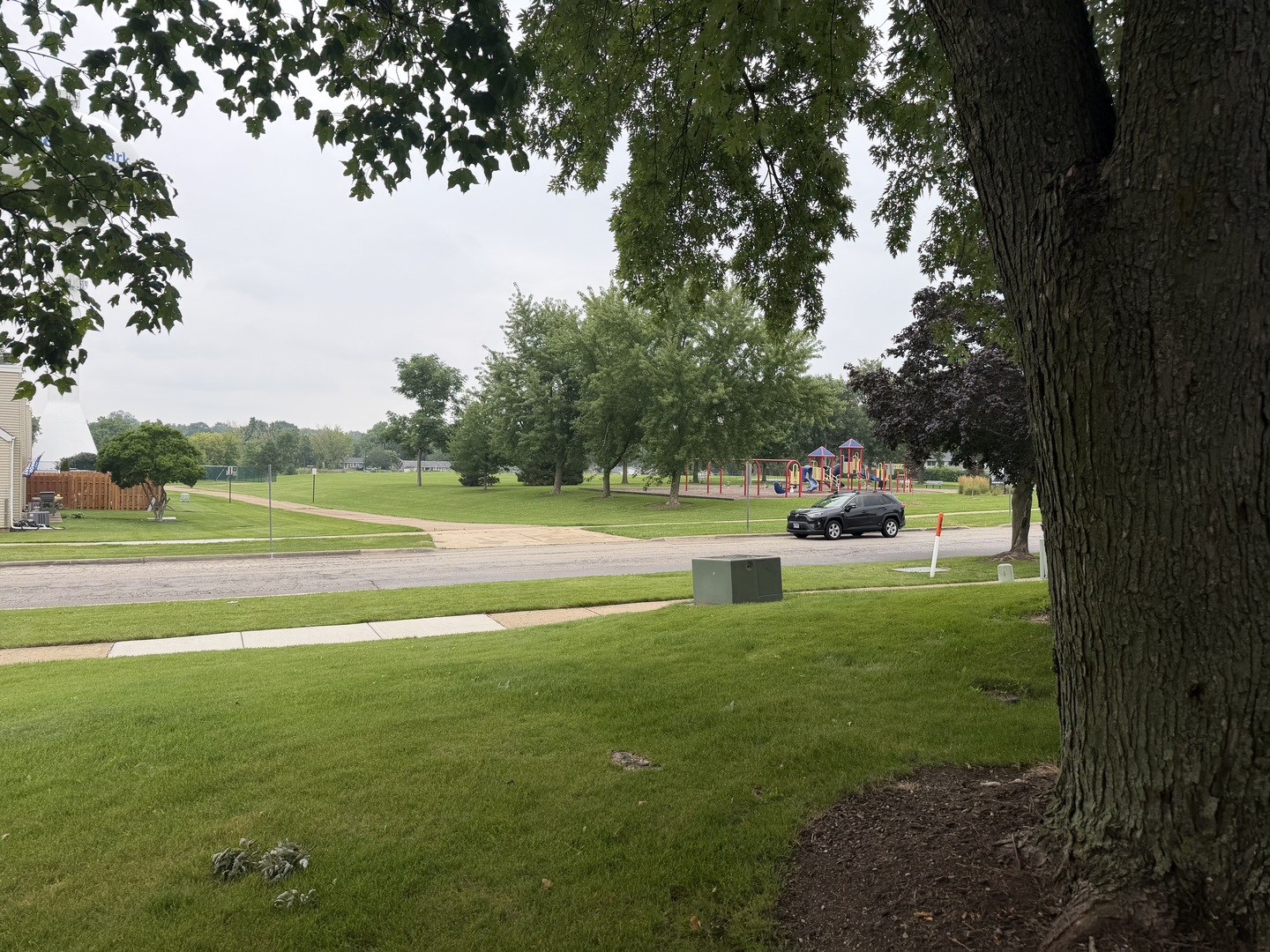 Gallery Image 15