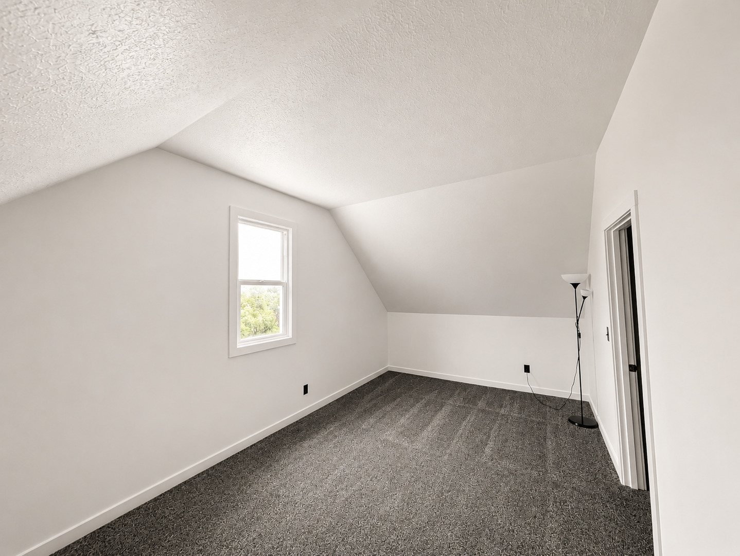 Gallery Image 19
