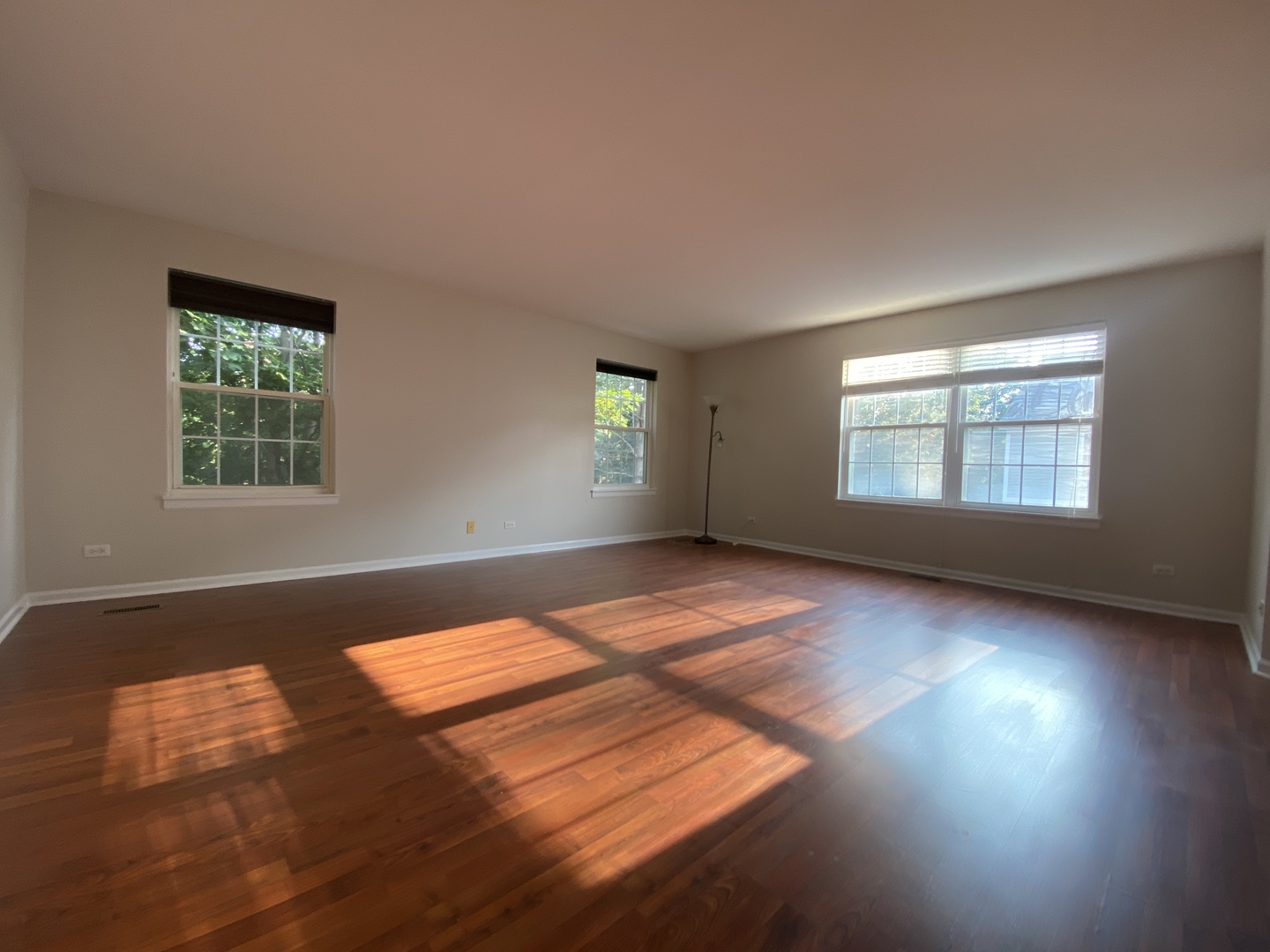 Gallery Image 12