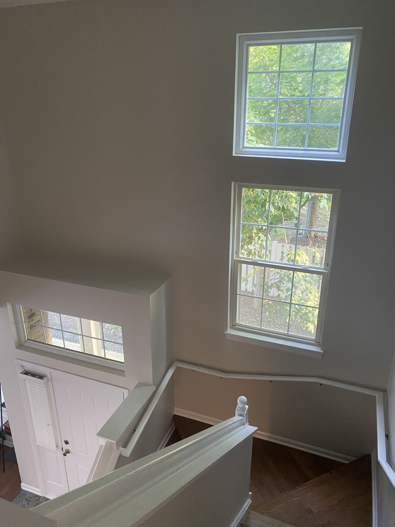 Gallery Image 26