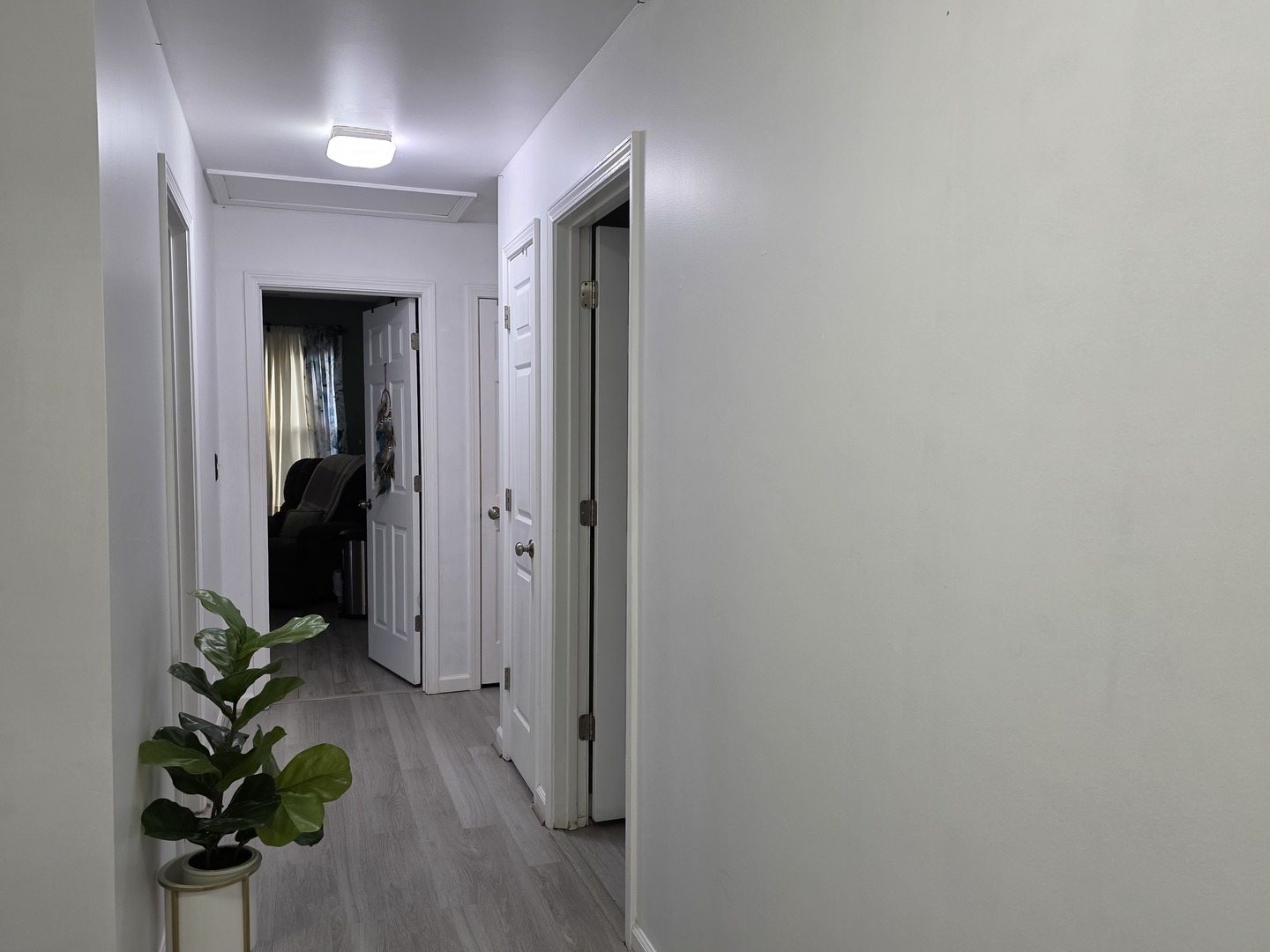 Gallery Image 32