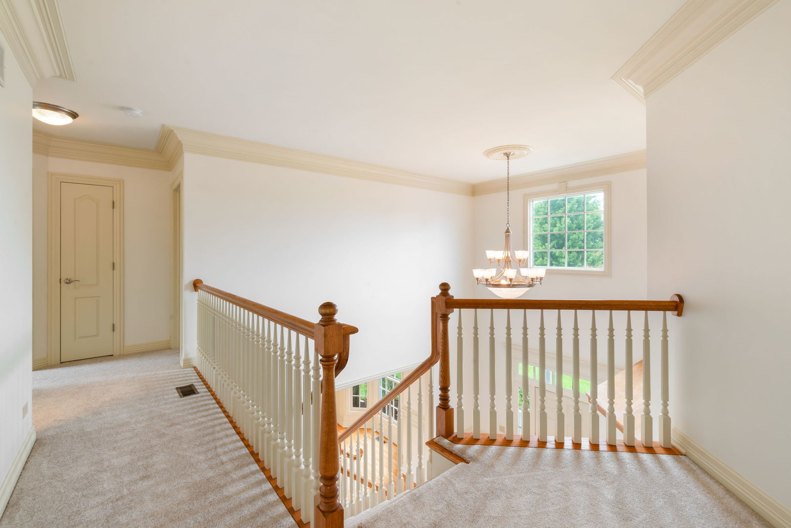 Gallery Image 14