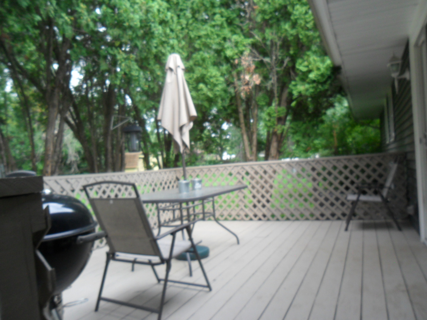 Gallery Image 25