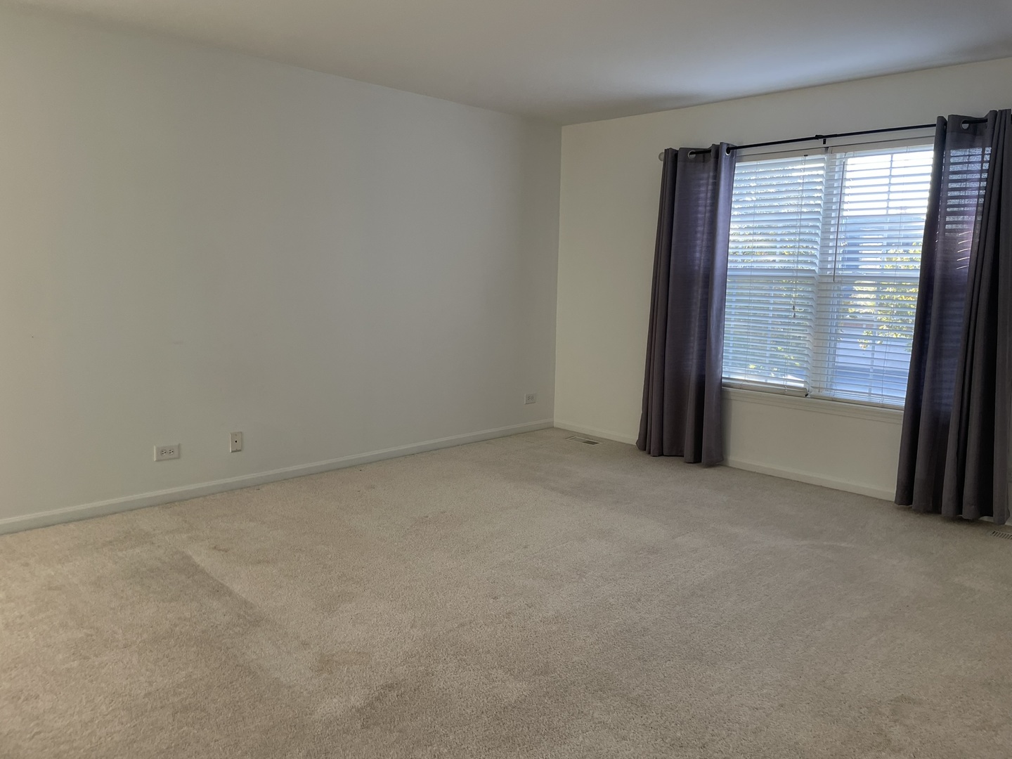 Gallery Image 19