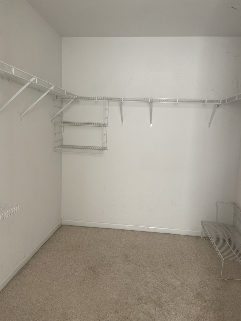 Gallery Image 20
