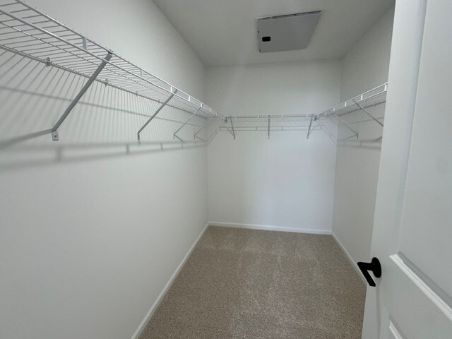 Gallery Image 19