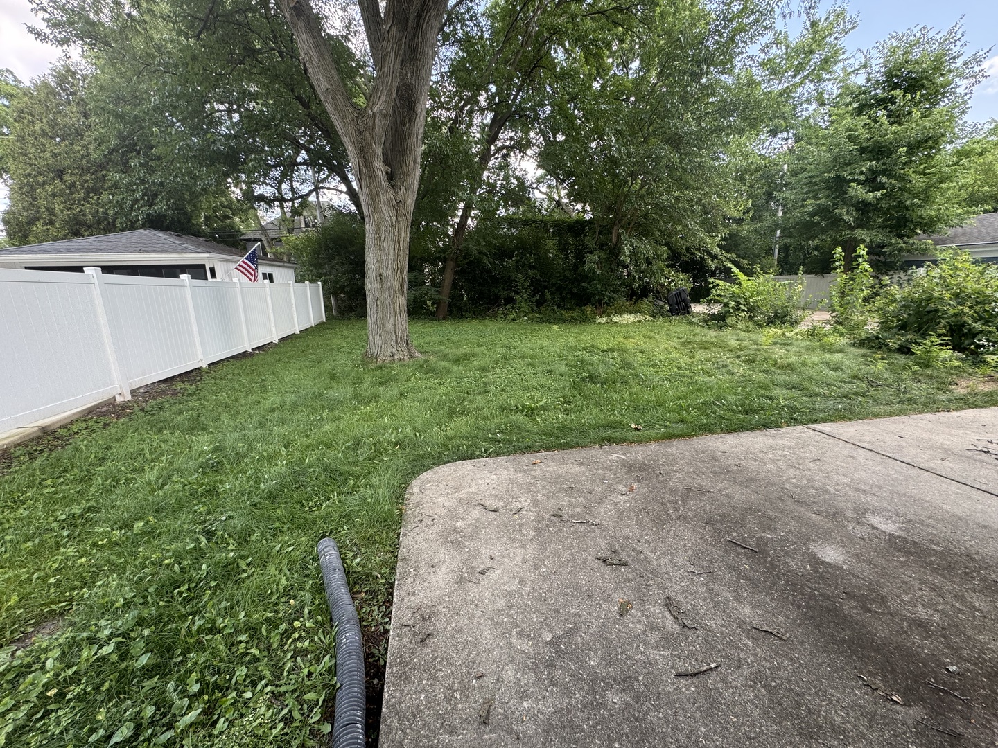 Gallery Image 11