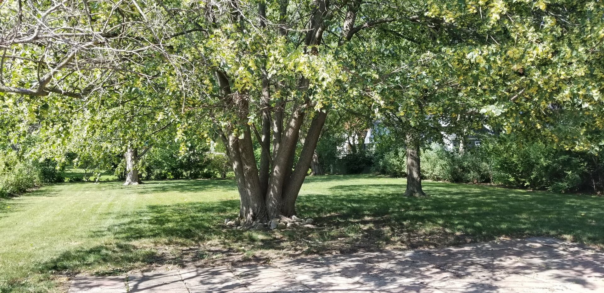Gallery Image 17