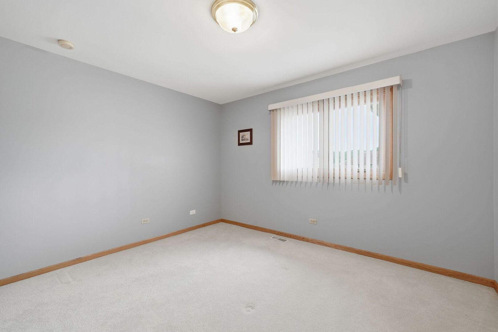 Gallery Image 19