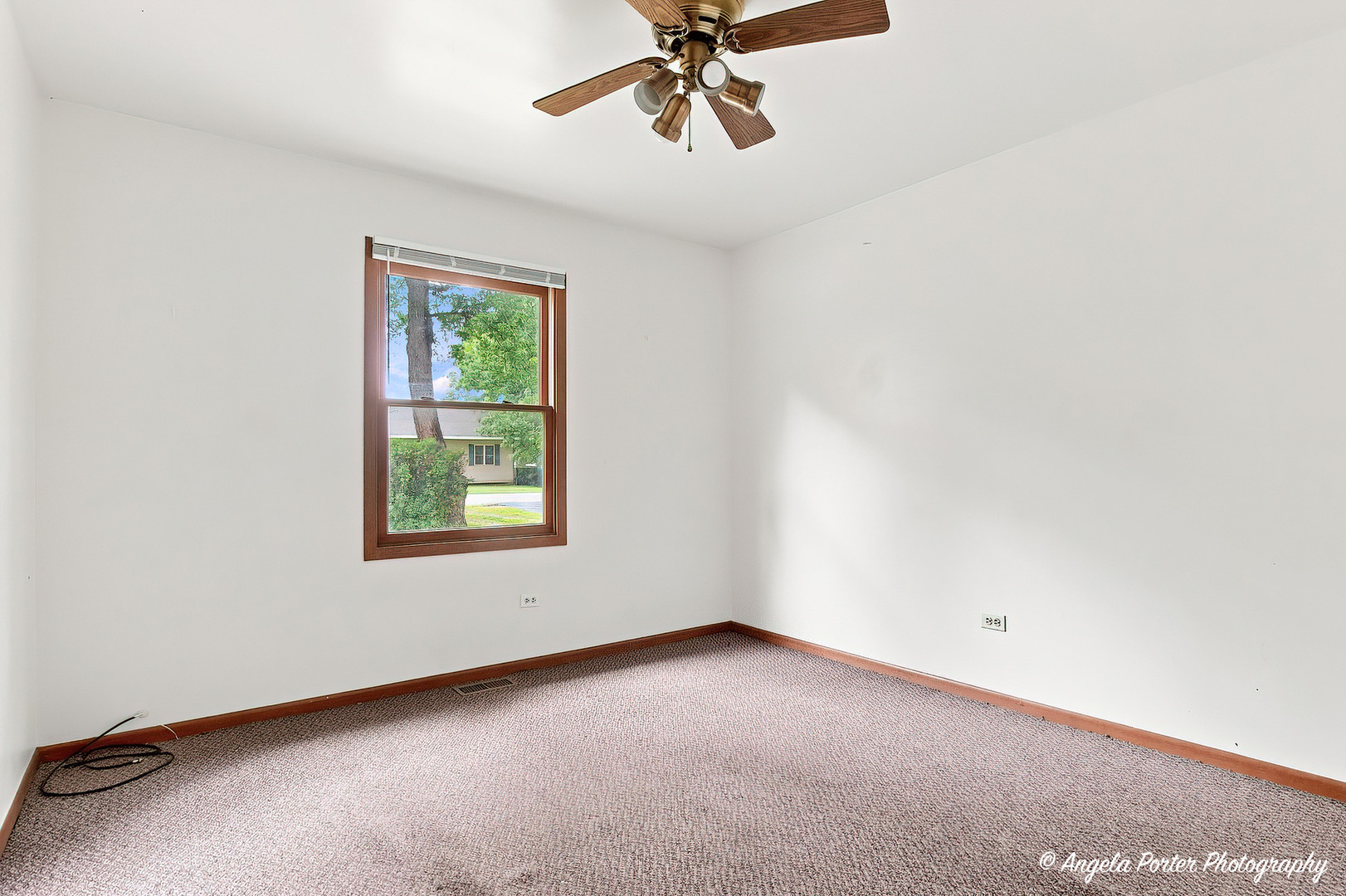 Gallery Image 15