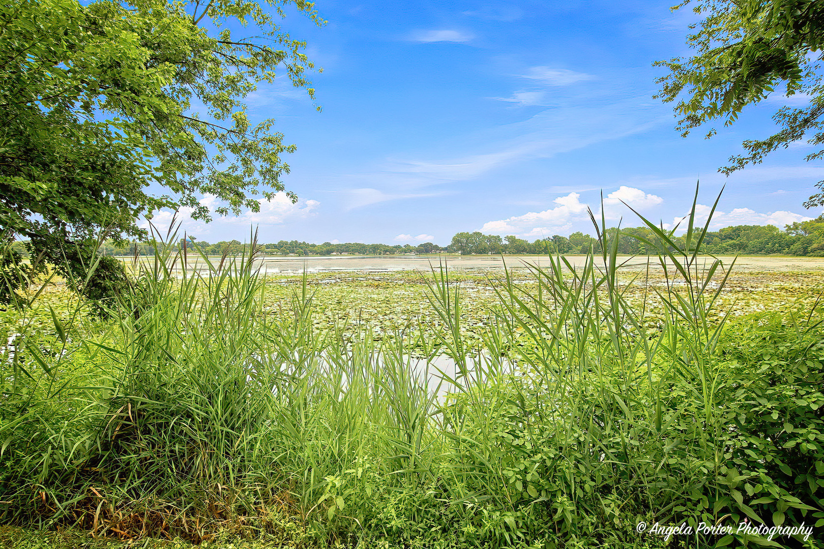 Gallery Image 23