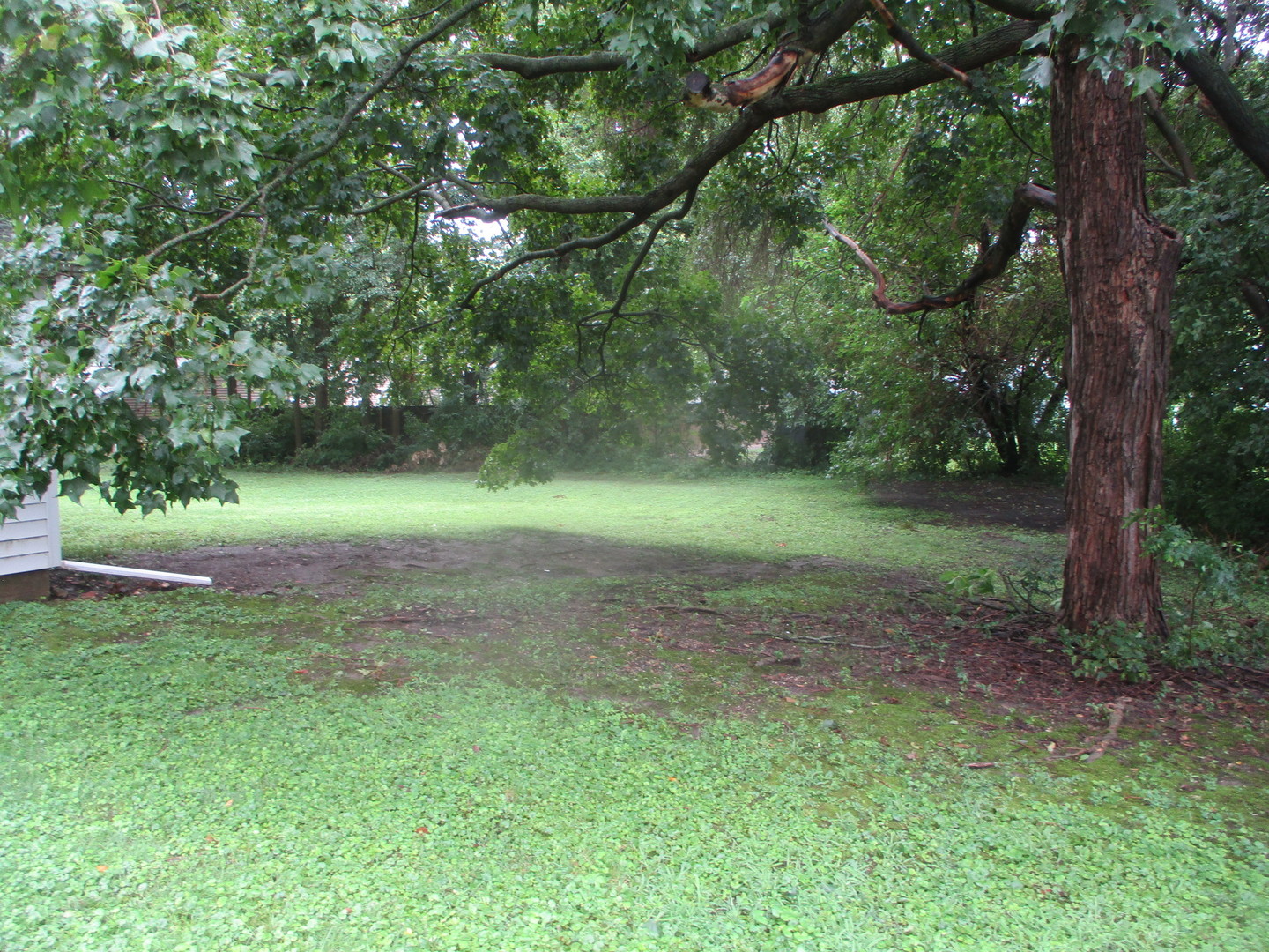 Gallery Image 16