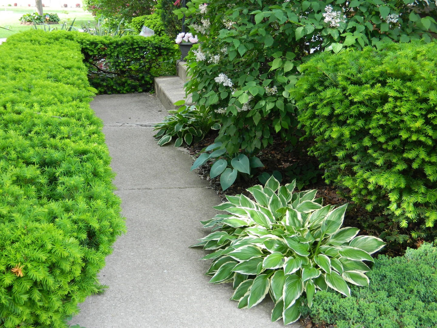 Gallery Image 30