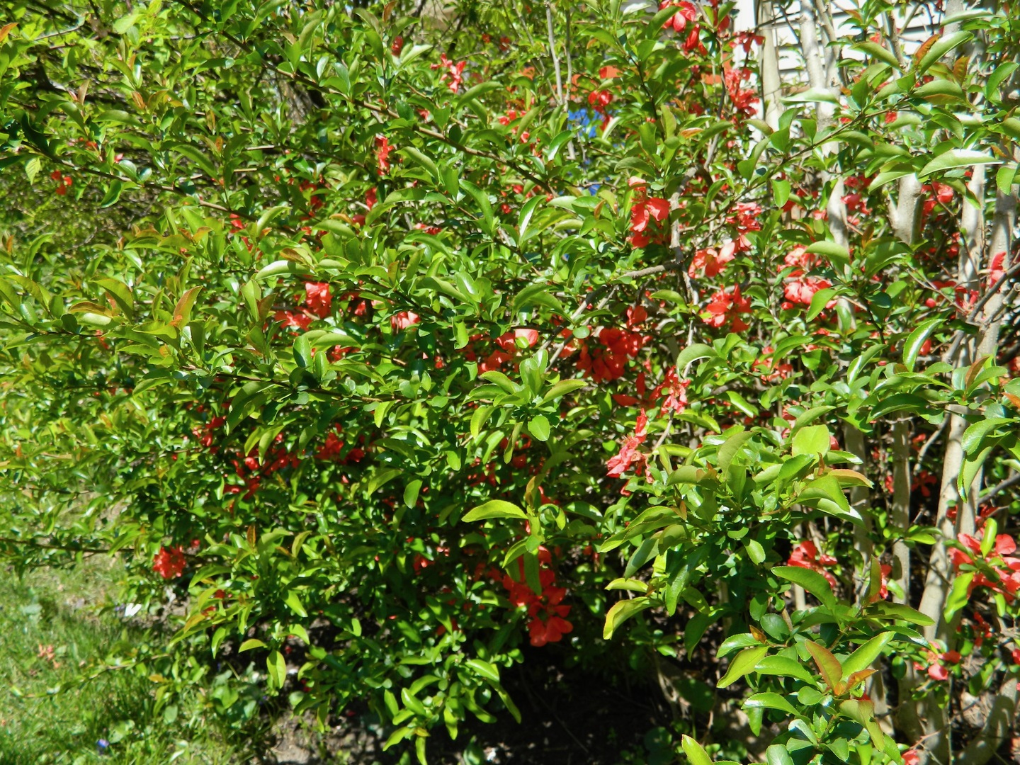 Gallery Image 28